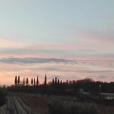 Séjour à la campagne La Del Moro Valeggio sul Mincio